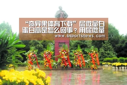 奇异果体育下载官网